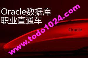 炼数成金 【快班】Oracle职业直通车